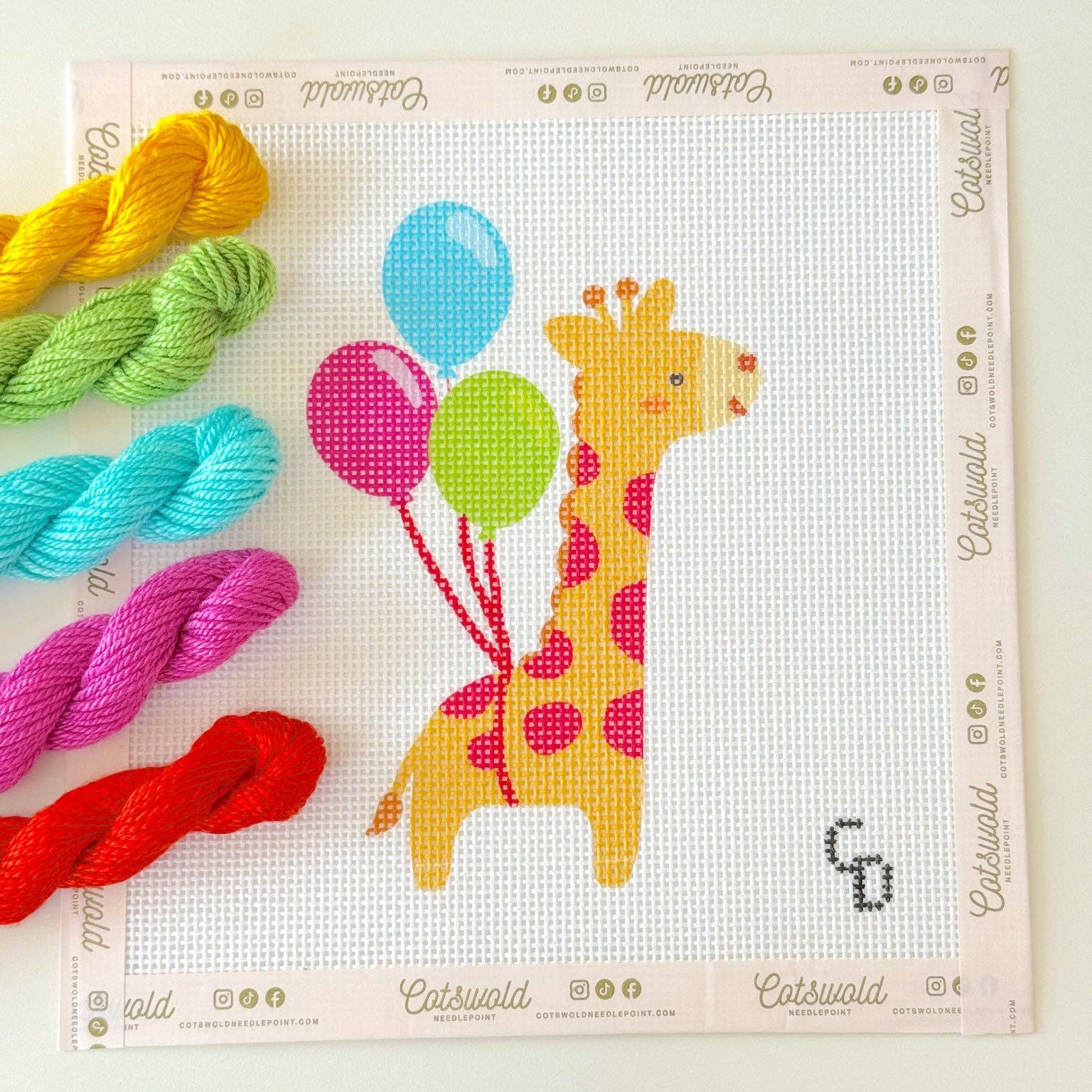 Giraffe with Balloons