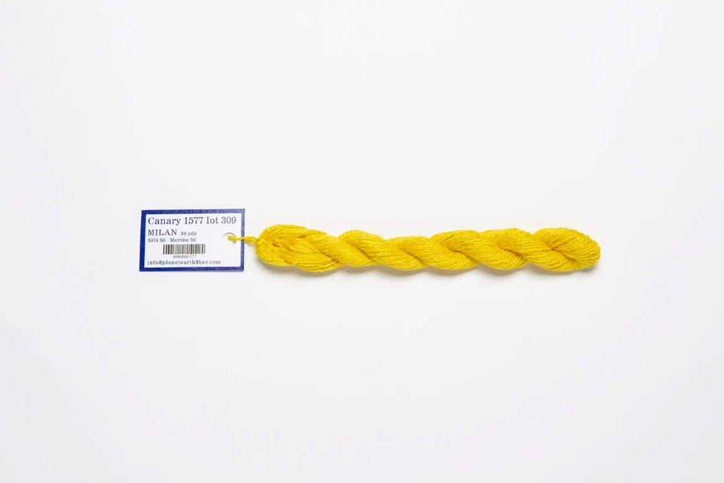 Milan 1577 - Canary